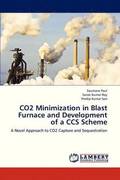 Co2 Minimization in Blast Furnace and Development of a CCS Scheme
