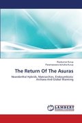 The Return Of The Asuras
