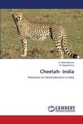Cheetah- India
