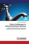 Policy Challenges in Delivering Water Services