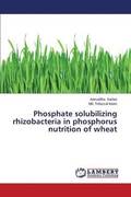 Phosphate Solubilizing Rhizobacteria in Phosphorus Nutrition of Wheat