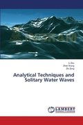 Analytical Techniques and Solitary Water Waves