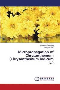 Micropropagation of Chrysanthemum (Chrysanthemum Indicum L.)
