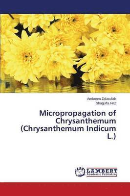 Zafarullah Ambreen, Naz Shagufta - Micropropagation of Chrysanthemum (Chrysanthemum Indicum L.), Häftad