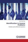 Identification in Inverse Problems