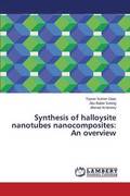 Synthesis of halloysite nanotubes nanocomposites