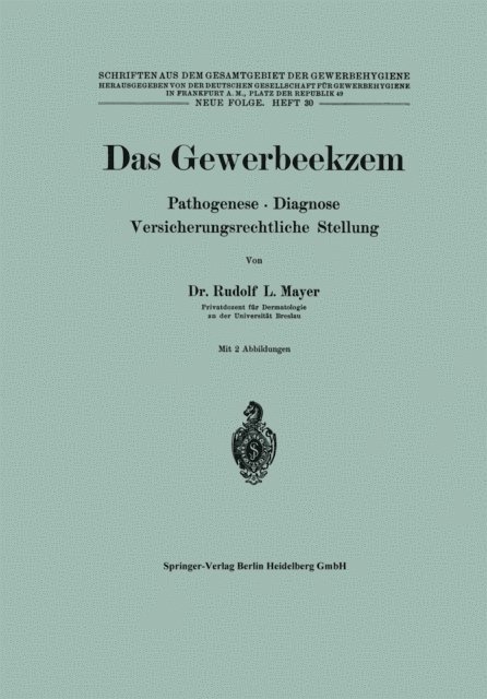 R. L. Mayer - Das Gewerbeekzem, E-bok