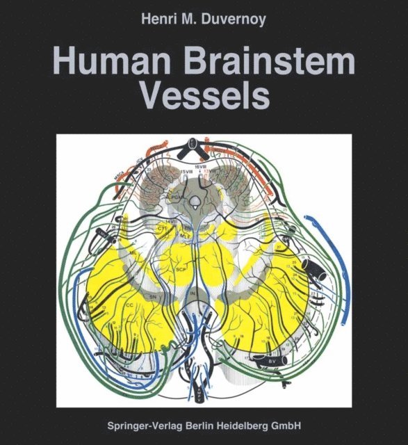 Henri M. Duvernoy - Human Brainstem Vessels, E-bok