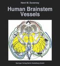 Human Brainstem Vessels