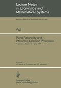 Plural Rationality and Interactive Decision Processes