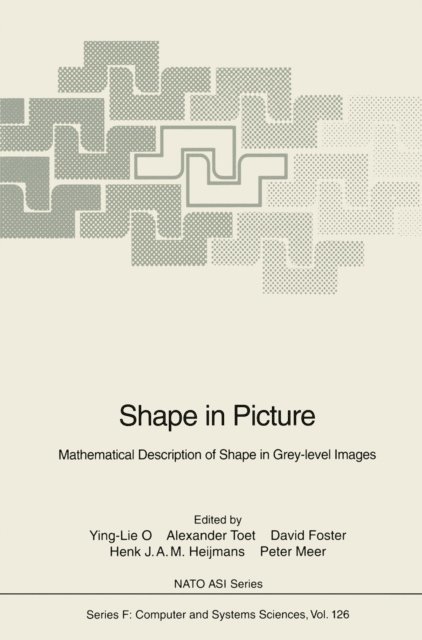 Peter Meer, Henk J.A.M. Heijmans, David Foster, Alexander Toet, Ying-Lie O - Shape in Picture, E-bok