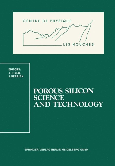 Jacques Derrien, Jean-Claude Vial - Porous Silicon Science and Technology, E-bok
