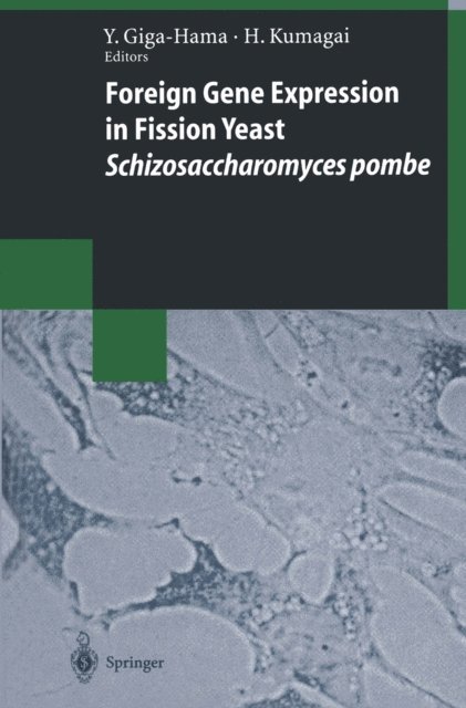 Hiromichi Kumagai, Yuko Giga-Hama - Foreign Gene Expression in Fission Yeast: Schizosaccharomyces pombe, E-bok