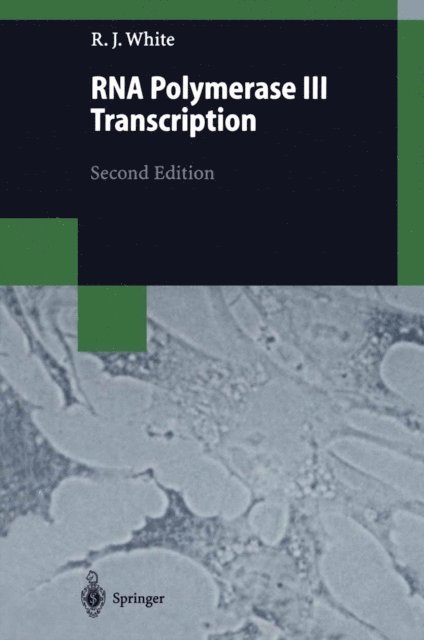 Robert J. White - RNA Polymerase III Transcription, E-bok