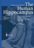 Human Hippocampus