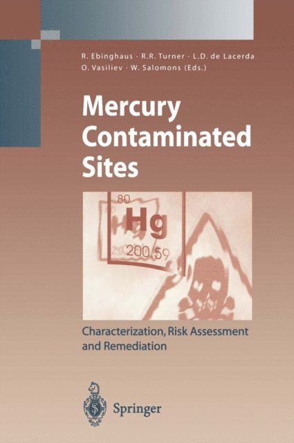 Wim Salomons, O. Vasiliev, Luiz D. de Lacerda, Ralph R. Turner, Ralf Ebinghaus - Mercury Contaminated Sites, E-bok