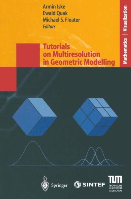 Michael S. Floater, Ewald Quak, Armin Iske - Tutorials on Multiresolution in Geometric Modelling, E-bok