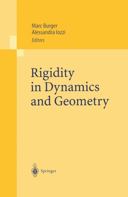 Alessandra Iozzi, Marc Burger - Rigidity in Dynamics and Geometry, E-bok