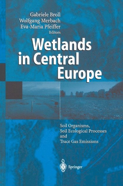 Eva-Maria Pfeiffer, Wolfgang Merbach, Gabriele Broll - Wetlands in Central Europe, E-bok
