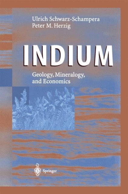 Peter M. Herzig, Ulrich Schwarz-Schampera - Indium, E-bok