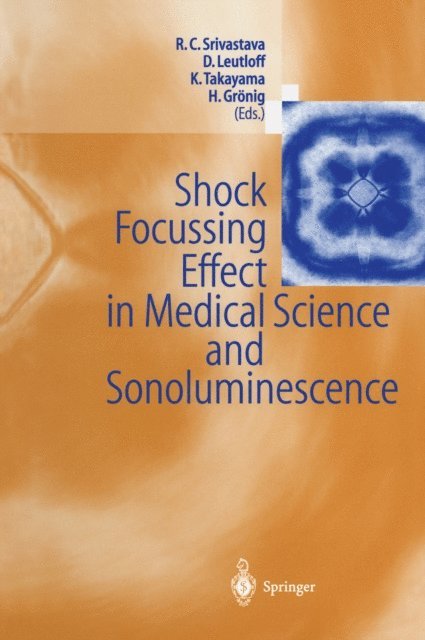Hans Gronig, Kazuyashi Takayama, Dieter Leutloff, Ramesh C. Srivastava - Shock Focussing Effect in Medical Science and Sonoluminescence, E-bok
