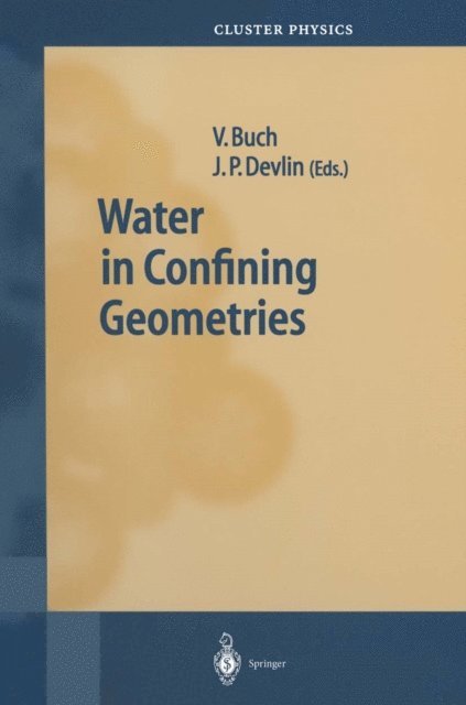 J.P. Devlin, V. Buch - Water in Confining Geometries, E-bok