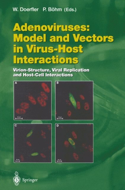 Petra Bohm, Walter Doerfler - Adenoviruses: Model and Vectors in Virus-Host Interactions, E-bok
