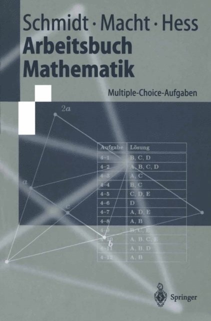 Klaus Th. Hess, Wolfgang Macht, Klaus D. Schmidt - Arbeitsbuch Mathematik, E-bok