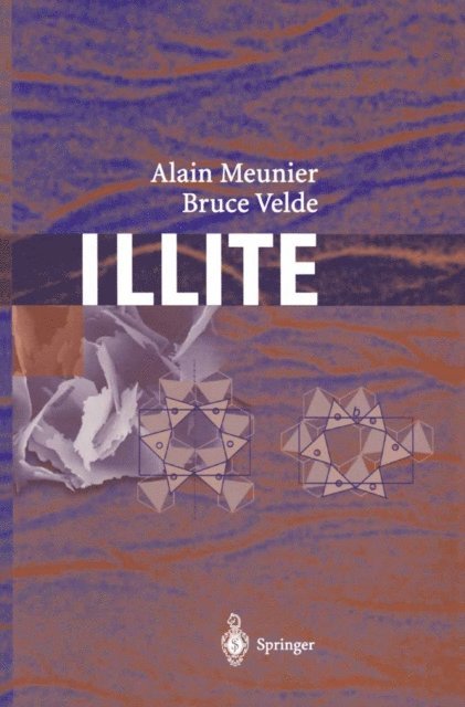 Bruce D. Velde, Alain Meunier - Illite, E-bok