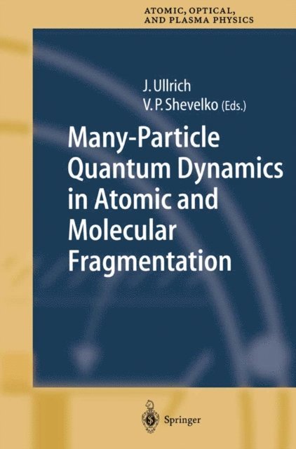 V.P. Shevelko, Joachim Ullrich - Many-Particle Quantum Dynamics in Atomic and Molecular Fragmentation, E-bok