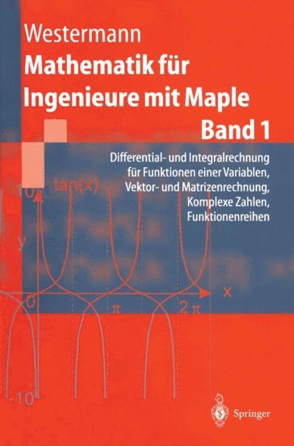 Thomas Westermann - Mathematik für Ingenieure mit Maple, E-bok