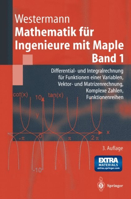 Thomas Westermann - Mathematik für Ingenieure mit Maple, E-bok