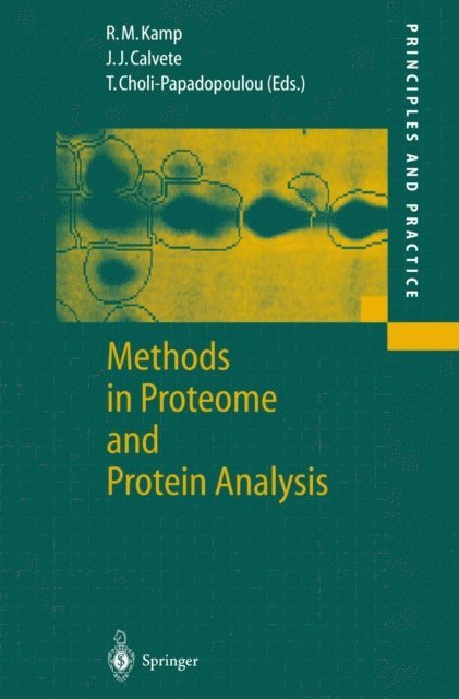 Theodora Choli-Papadopoulou, Juan J. Calvete, Roza Maria Kamp - Methods in Proteome and Protein Analysis, E-bok