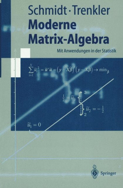 Gotz Trenkler, Karsten Schmidt - Moderne Matrix-Algebra, E-bok