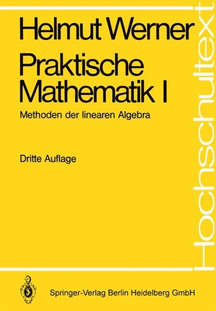 Helmut Werner - Praktische Mathematik I, E-bok