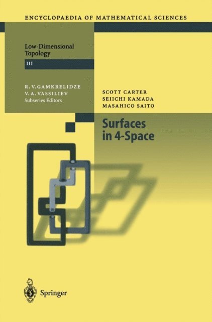 Masahico Saito, Seiichi Kamada, Scott Carter - Surfaces in 4-Space, E-bok