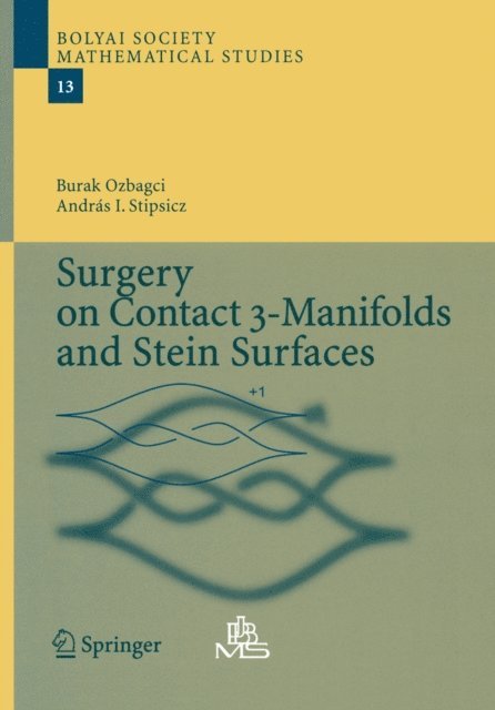 Andras Stipsicz, Burak Ozbagci - Surgery on Contact 3-Manifolds and Stein Surfaces, E-bok