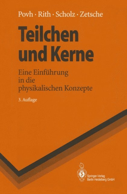 Frank Zetsche, Christoph Scholz, Klaus Rith, Bogdan Povh - Teilchen und Kerne, E-bok