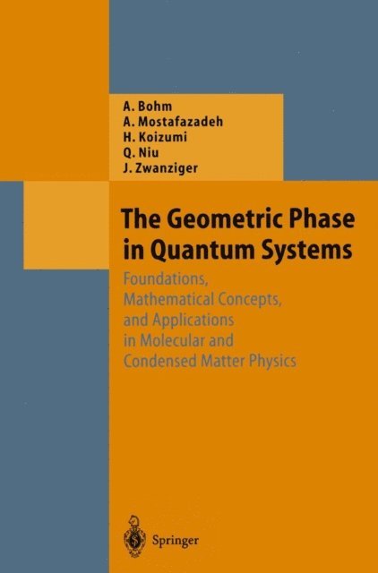 Josef Zwanziger, Qian Niu, Hiroyasu Koizumi, Ali Mostafazadeh, Arno Bohm - Geometric Phase in Quantum Systems, E-bok
