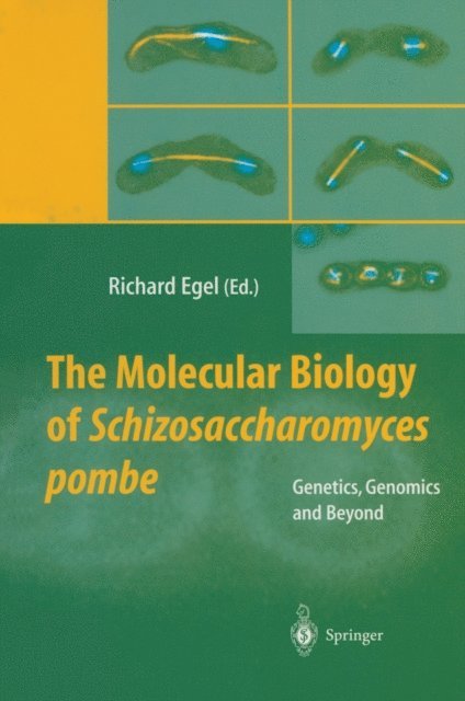 Richard Egel - Molecular Biology of Schizosaccharomyces pombe, E-bok