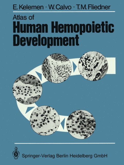 T.M. Fliedner, W. Calvo, E. Kelemen - Atlas of Human Hemopoietic Development, E-bok