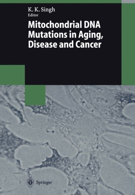 Keshav K. Singh - Mitochondrial DNA Mutations in Aging, Disease and Cancer, E-bok