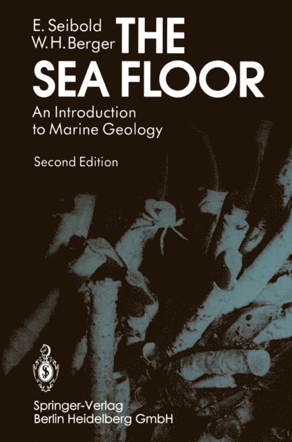 Wolfgang H. Berger, Eugen Seibold - Sea Floor, E-bok