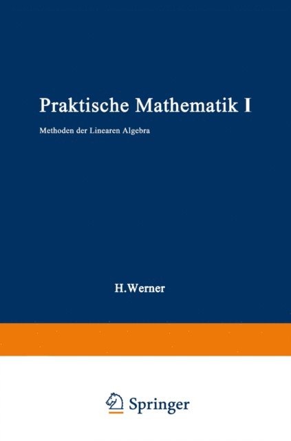 Helmut Werner - Praktische Mathematik I, E-bok