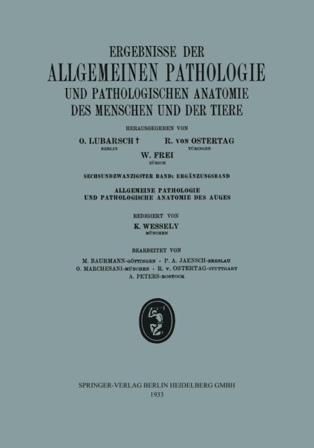 W. Frei, R. von Ostertag, O. Lubarsch - Ergebnisse der Allgemeinen Pathologie und Pathologischen Anatomie des Menschen und der Tiere, E-bok