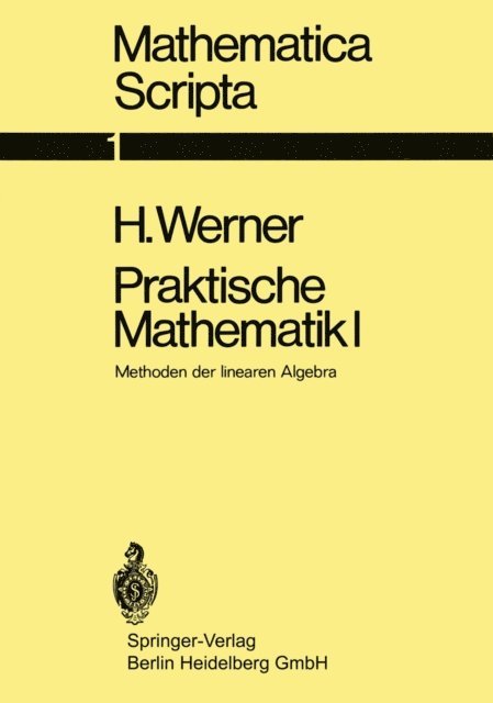Helmut Werner - Praktische Mathematik I, E-bok