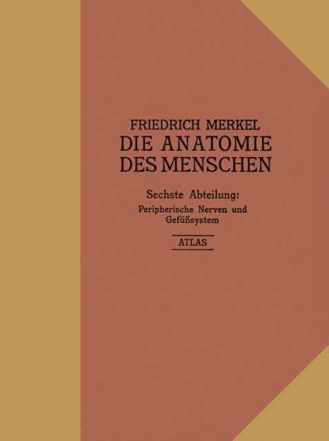 Friedrich Merkel - Atlas zu Peripherische Nerven und Gefäßsystem, E-bok