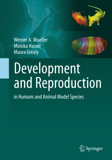 Maura Grealy, Monika Hassel, Werner A. Mueller - Development and Reproduction in Humans and Animal Model Species, E-bok