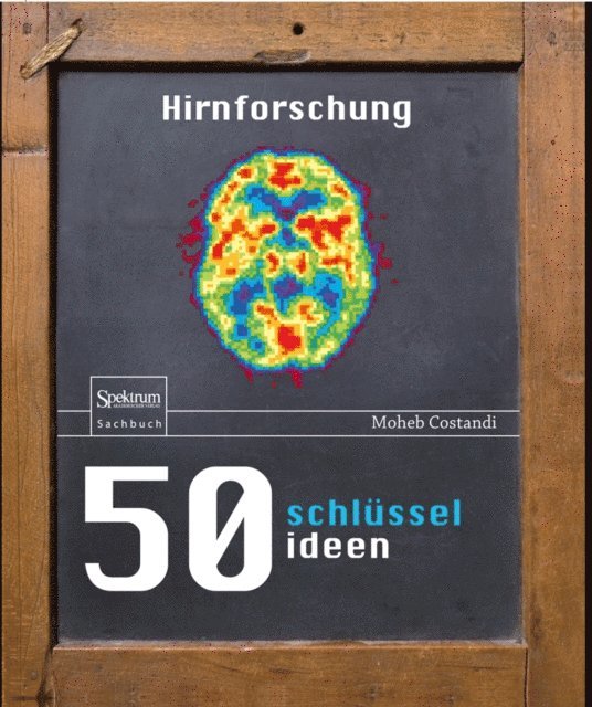 Moheb Costandi - 50 Schlüsselideen Hirnforschung, E-bok