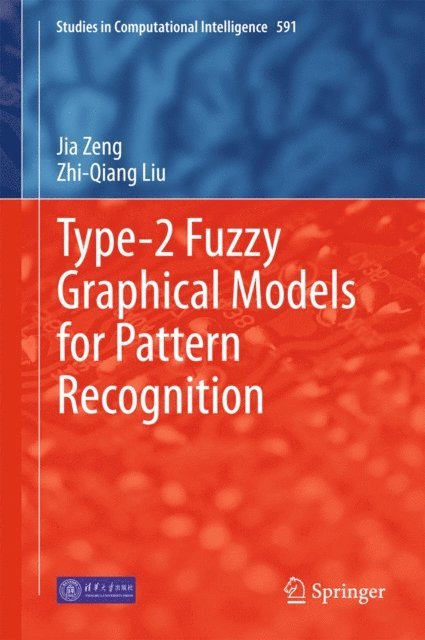 Zhi-Qiang Liu, Jia Zeng - Type-2 Fuzzy Graphical Models for Pattern Recognition, E-bok